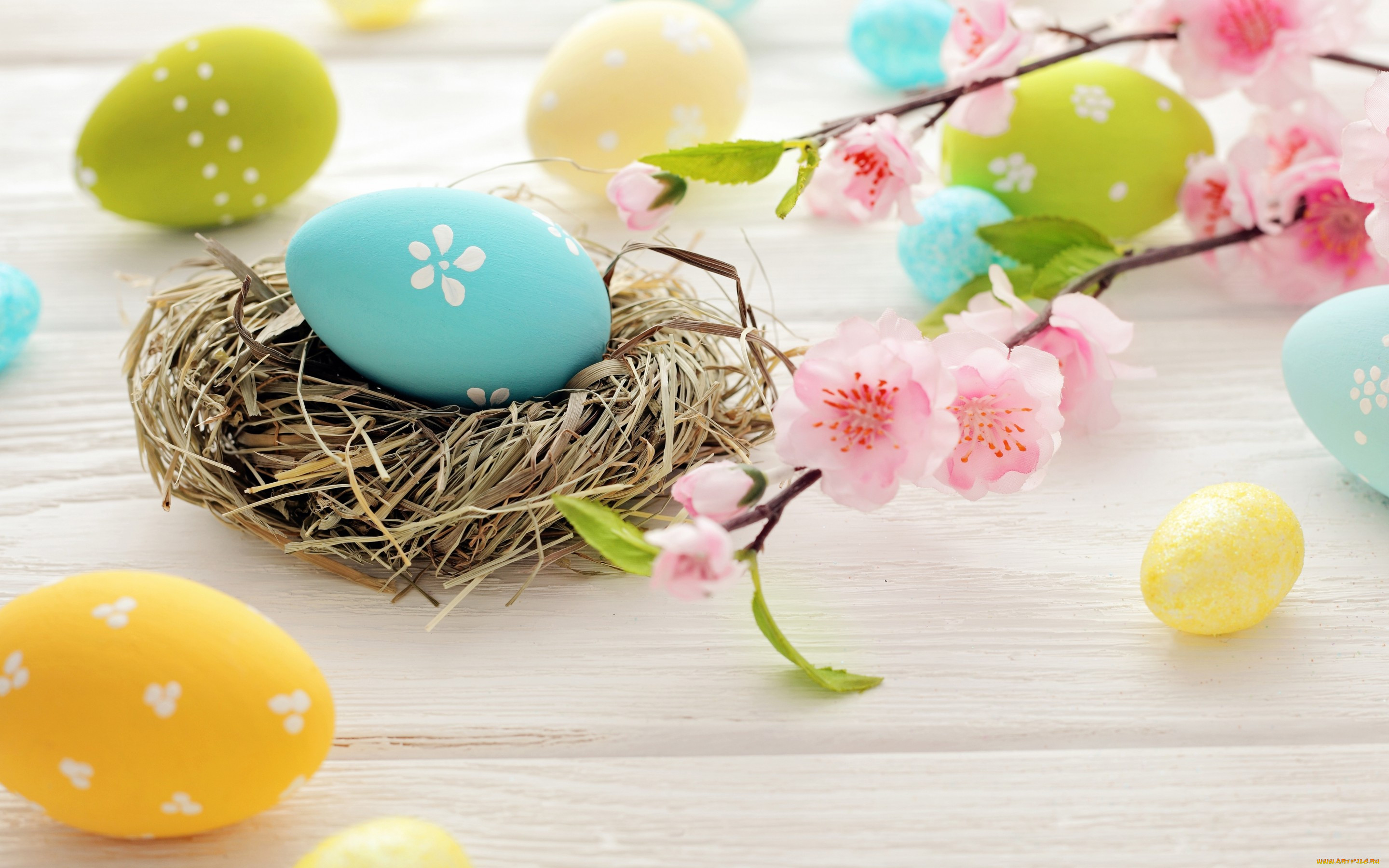 , , , easter, , , eggs, spring, flowers